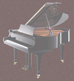 WSG60