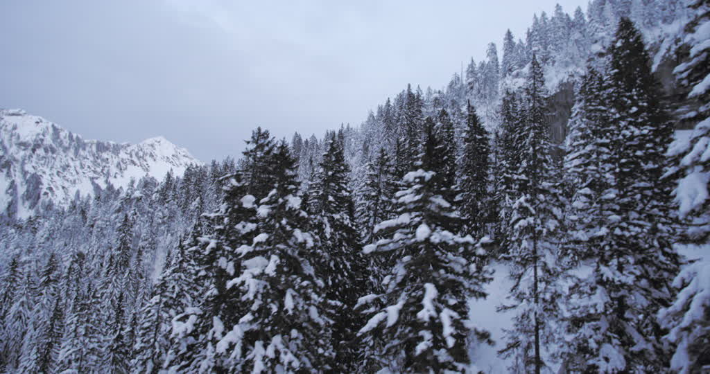 Winter in the Swiss Alps