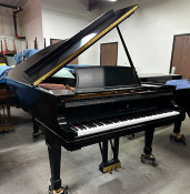 Steinway B