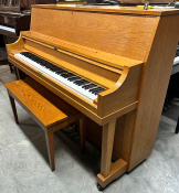 Yamaha P22