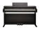 Kurzweil CUP E1 BK