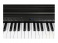 Kurzweil CUP E1 BK