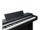 Kurzweil CUP M1 SR