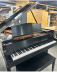 Heintzman