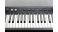 Kurzweil KaP1 Black