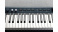 Kurzweil KaP1 Blue