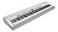 Kurzweil KaP1 White
