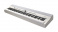 Kurzweil KaP1 White