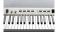 Kurzweil KaP1 White