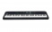 Kurzweil SP8