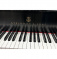 Steinway B