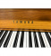 Yamaha P22