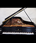 Steinway D