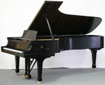 Steinway D