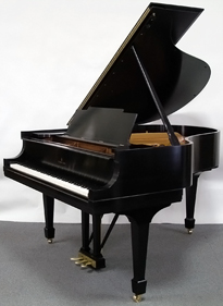 Steinway M