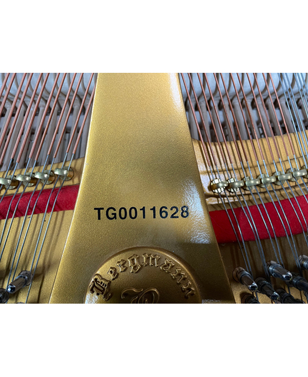 Bergmann TG-157