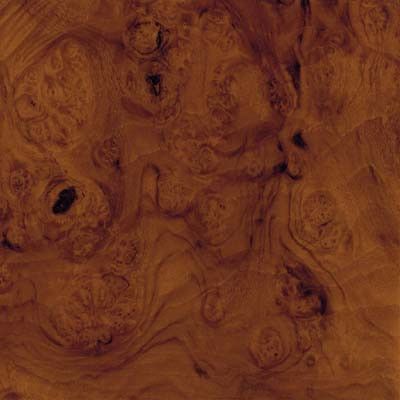 Burl Walnut