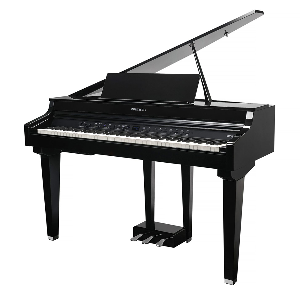 Kurzweil CUP G1W