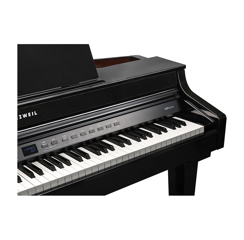 Kurzweil CUP G1W