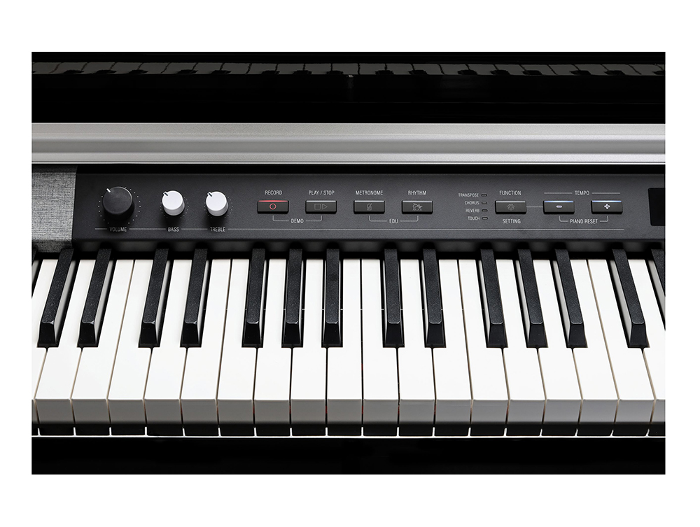Kurzweil CUP P1