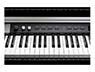 Kurzweil CUP P1