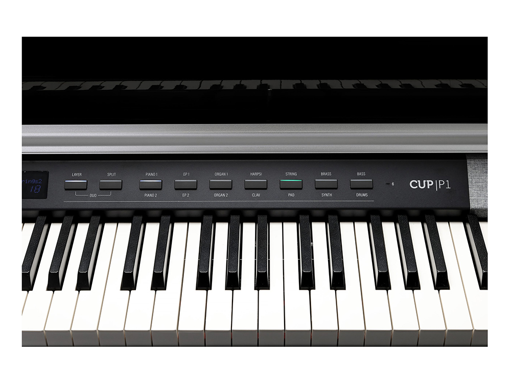 Kurzweil CUP P1