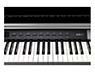 Kurzweil CUP P1