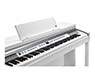 Kurzweil CUP P1