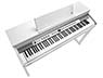 Kurzweil CUP P1