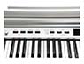 Kurzweil CUP P1
