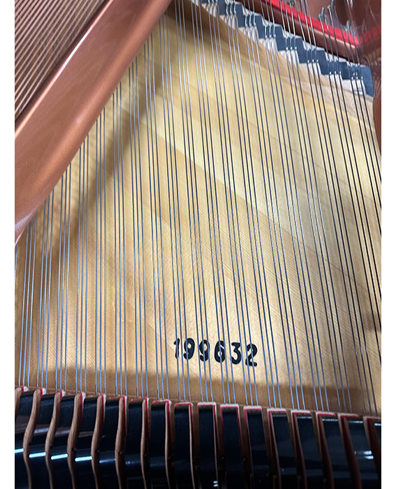 Haessler 186