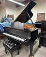 Haessler 186