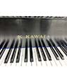 Kawai KG-2E