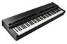 Kurzweil MPS110