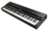 Kurzweil MPS110