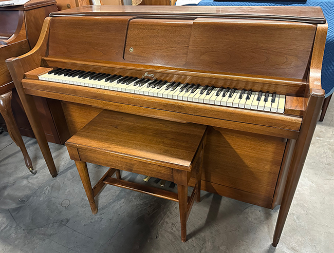 Musette Player Piano