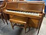 Musette Player Piano