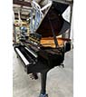 Yamaha C2