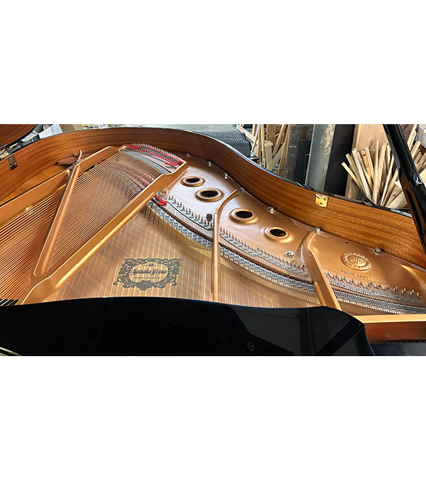 Yamaha C2