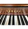 Yamaha M450