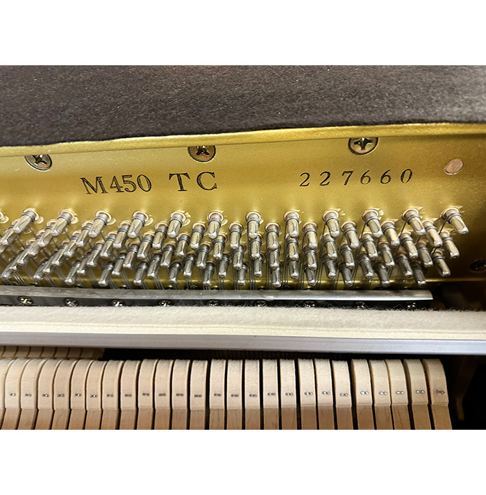 Yamaha M450