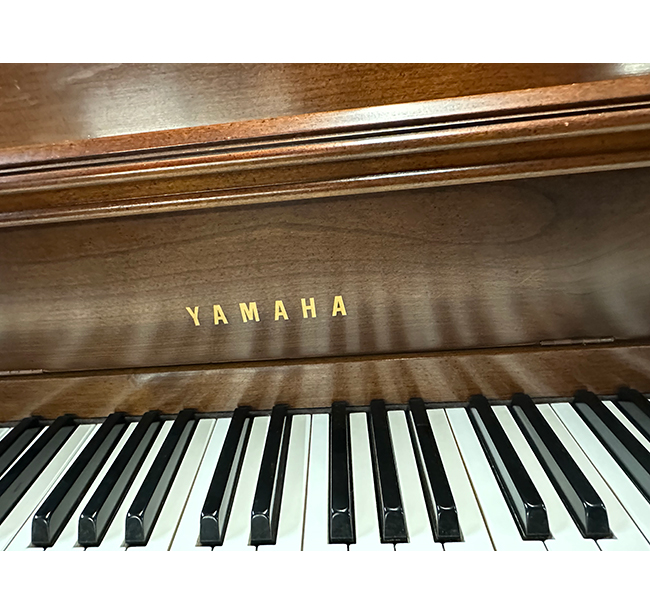 Yamaha M216