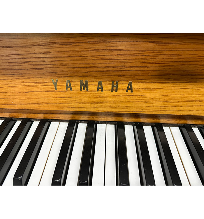 Yamaha P22