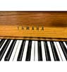 Yamaha P22