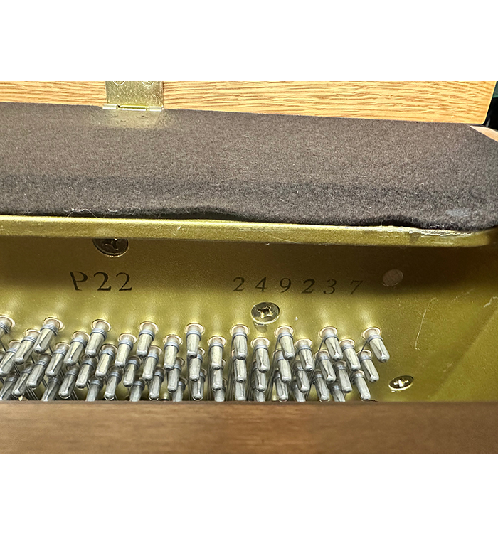 Yamaha P22