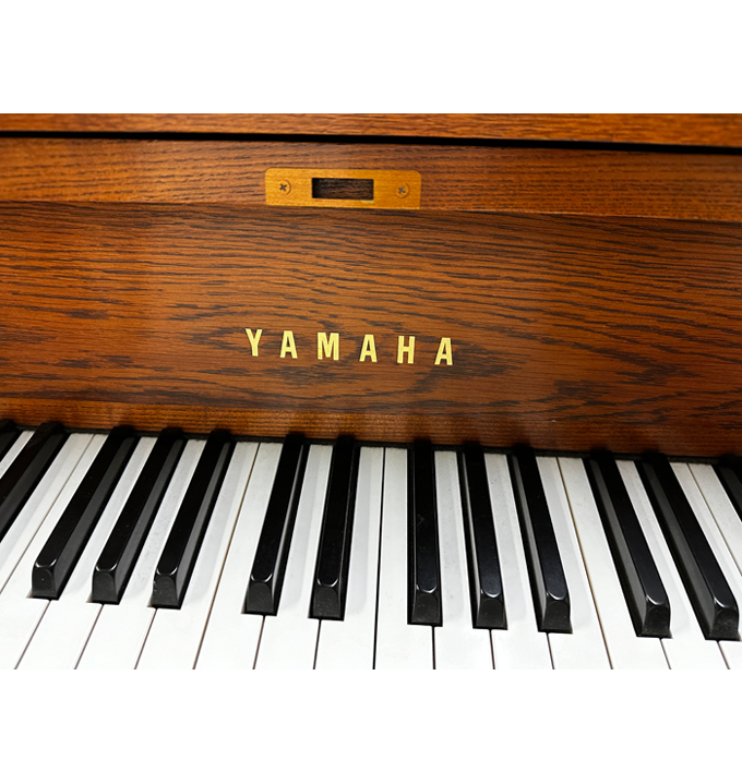 Yamaha P22